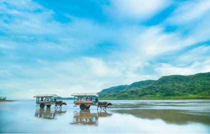 沖縄の干潟をゆっくりと渡る2台の水牛車観光の様子。水面には青空や雲、水牛車の姿が鏡のように反射している幻想的な風景