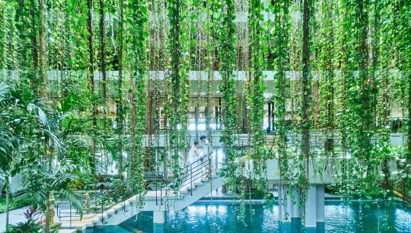 沖縄のホテルムーンビーチ内、吹き抜けの緑豊かなアトリウム空間。水辺に架かる白い階段で、ウエディングドレス姿の花嫁とタキシード姿の新郎が向き合っています。上から垂れ下がる無数のグリーンに包まれた幻想的なロケーションです。
