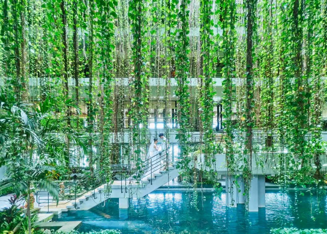 沖縄のホテルムーンビーチ内、吹き抜けの緑豊かなアトリウム空間。水辺に架かる白い階段で、ウエディングドレス姿の花嫁とタキシード姿の新郎が向き合っています。上から垂れ下がる無数のグリーンに包まれた幻想的なロケーションです。