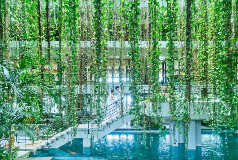 沖縄のホテルムーンビーチ内、吹き抜けの緑豊かなアトリウム空間。水辺に架かる白い階段で、ウエディングドレス姿の花嫁とタキシード姿の新郎が向き合っています。上から垂れ下がる無数のグリーンに包まれた幻想的なロケーションです。